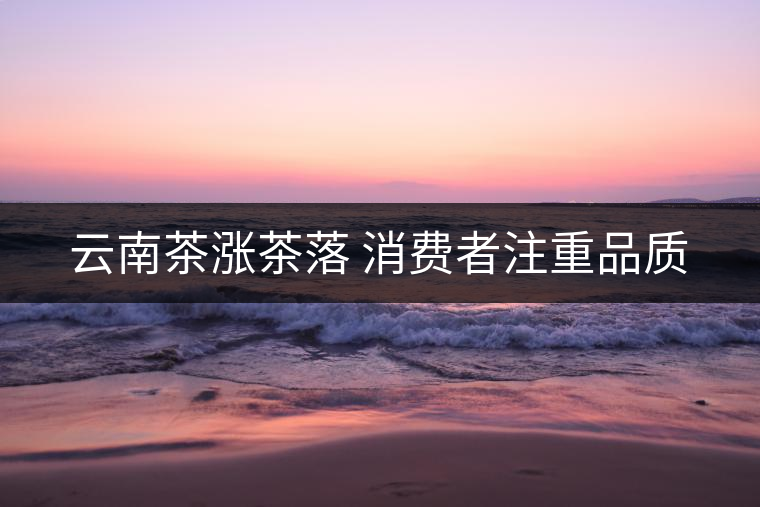 云南茶漲茶落 消費者注重品質 云南茶漲茶落 消費者注重品質