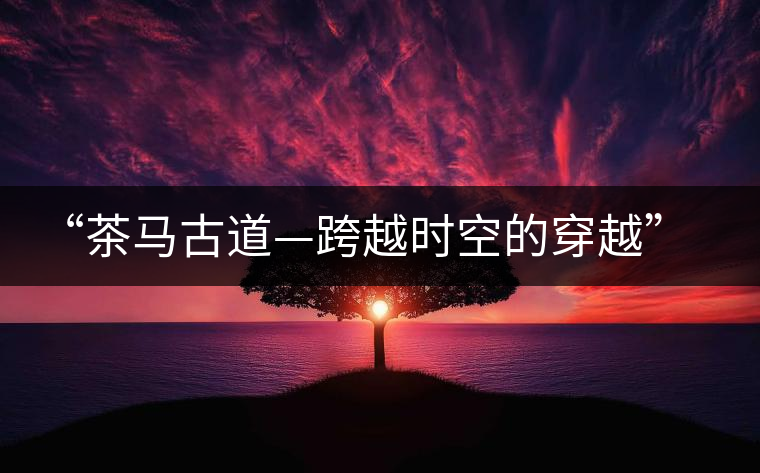 “茶馬古道—跨越時空的穿越”系列采風活動已啟動