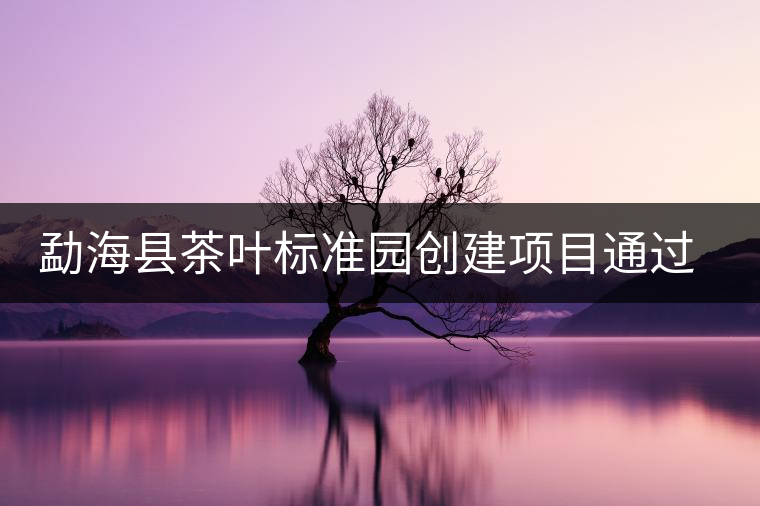 勐海縣茶葉標(biāo)準(zhǔn)園創(chuàng)建項(xiàng)目通過(guò)省級(jí)驗(yàn)收