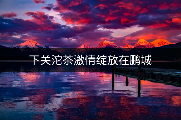 下關(guān)沱茶激情綻放在鵬城