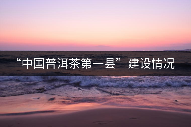 “中國普洱茶第一縣”建設(shè)情況匯報 “中國普洱茶第一縣”建設(shè)情況匯報