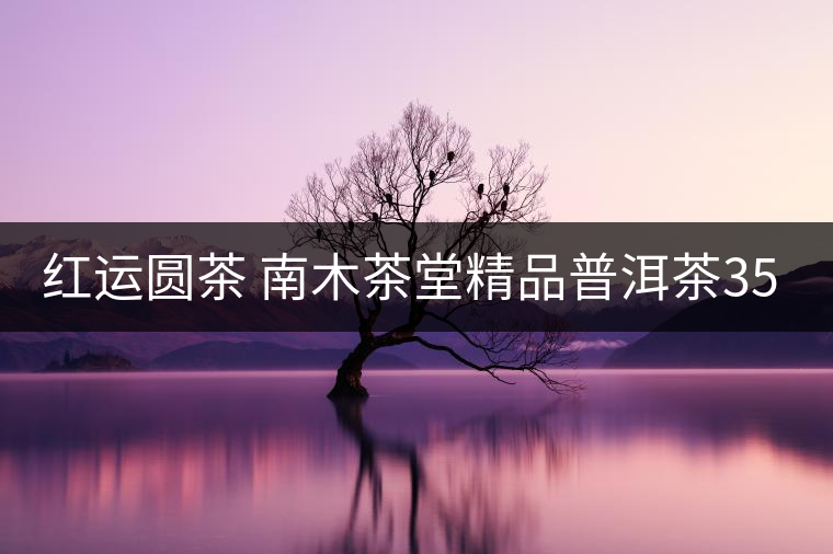 紅運(yùn)圓茶 南木茶堂精品普洱茶357克熟餅