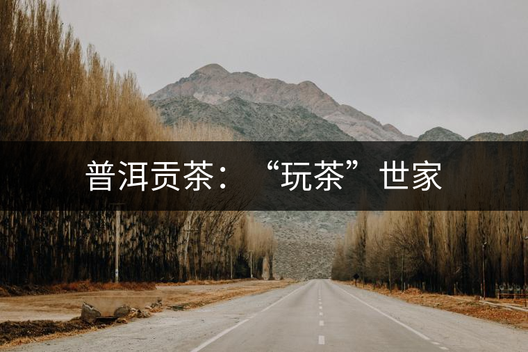 普洱貢茶：“玩茶”世家