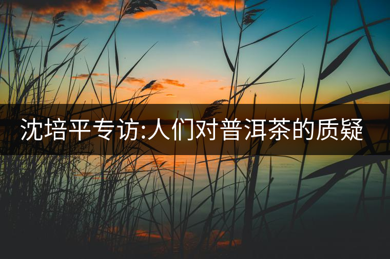 沈培平專訪:人們對(duì)普洱茶的質(zhì)疑有三大好處 沈培平專訪:人們對(duì)普洱茶的質(zhì)疑有三大好處