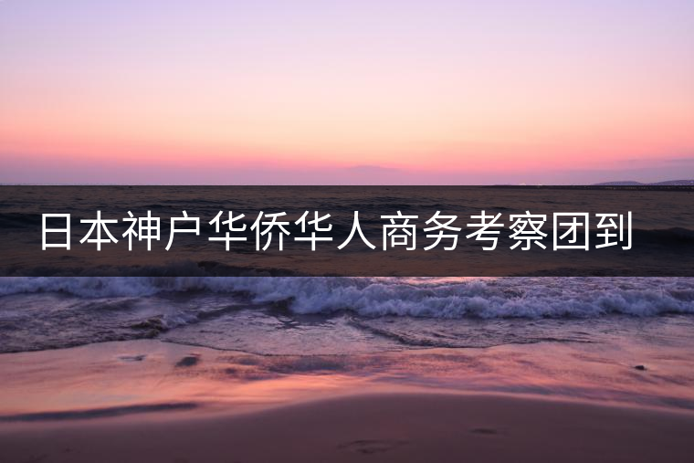 日本神戶華僑華人商務(wù)考察團(tuán)到普洱市考察 日本神戶華僑華人商務(wù)考察團(tuán)到普洱市考察