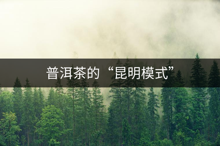 普洱茶的“昆明模式” 普洱茶的“昆明模式”