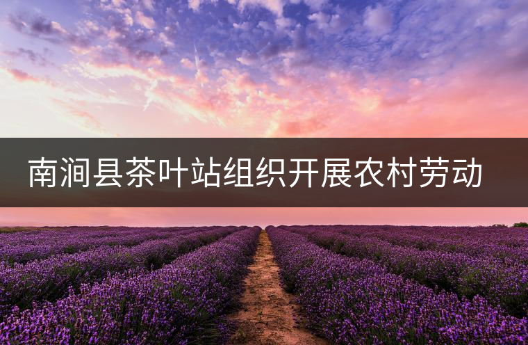 南澗縣茶葉站組織開展農(nóng)村勞動(dòng)力轉(zhuǎn)移培訓(xùn)