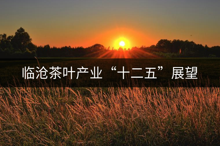 臨滄茶葉產(chǎn)業(yè)“十二五”展望 臨滄茶葉產(chǎn)業(yè)“十二五”展望