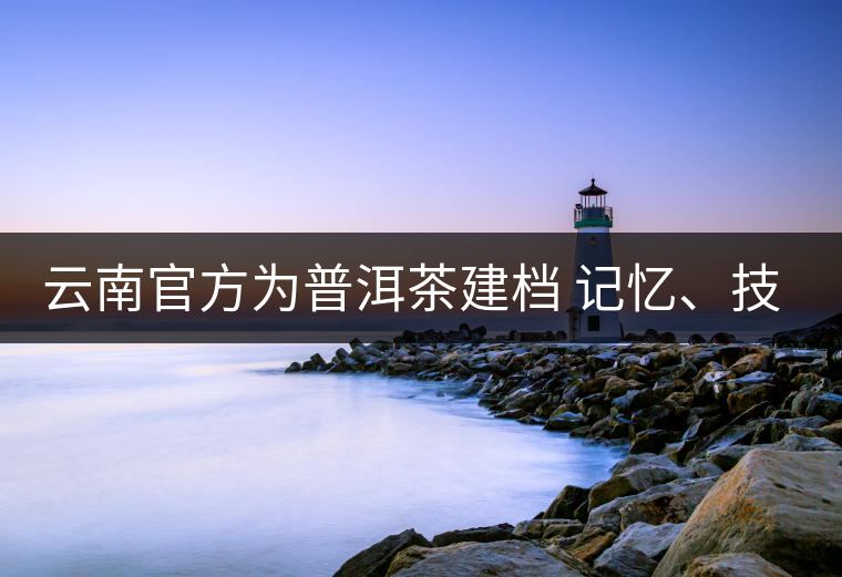 云南官方為普洱茶建檔 記憶、技藝雙傳承 云南官方為普洱茶建檔 記憶、技藝雙傳承