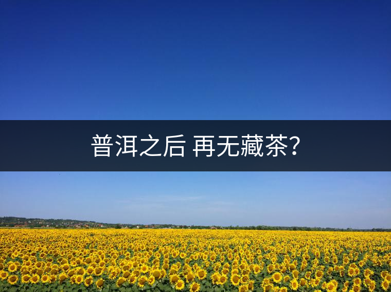 普洱之后 再無(wú)藏茶？