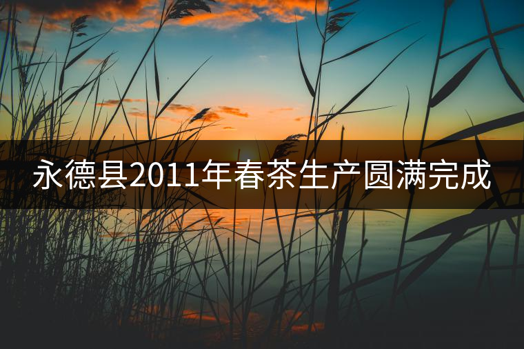 永德縣2011年春茶生產(chǎn)圓滿完成 永德縣2011年春茶生產(chǎn)圓滿完成