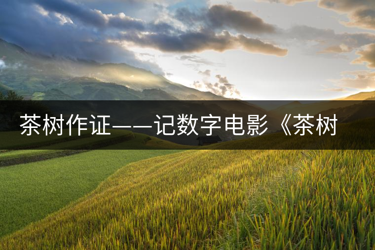 茶樹作證——記數(shù)字電影《茶樹下》的拍攝