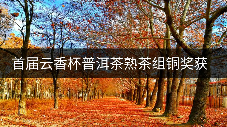 首屆云香杯普洱茶熟茶組銅獎(jiǎng)獲獎(jiǎng)名單 首屆云香杯普洱茶熟茶組銅獎(jiǎng)獲獎(jiǎng)名單