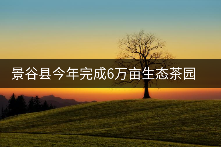 景谷縣今年完成6萬畝生態(tài)茶園建設 景谷縣今年完成6萬畝生態(tài)茶園建設