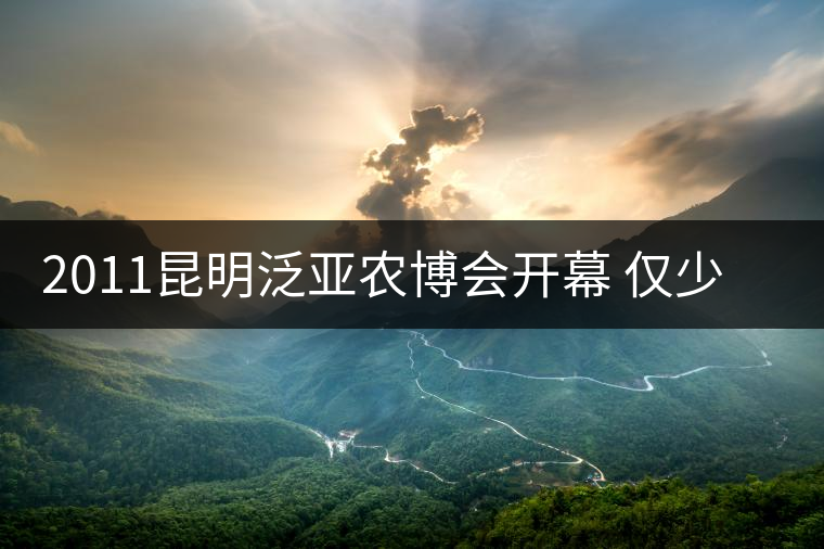 2011昆明泛亞農(nóng)博會(huì)開幕 僅少數(shù)茶企參展