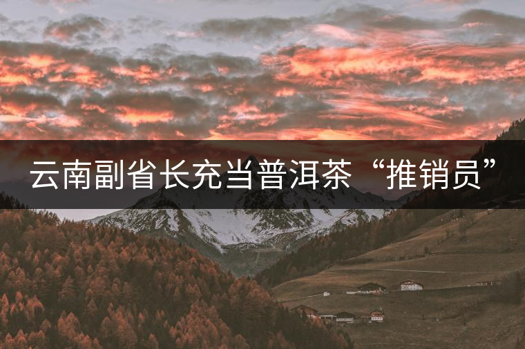 云南副省長充當普洱茶“推銷員” 云南副省長充當普洱茶“推銷員”