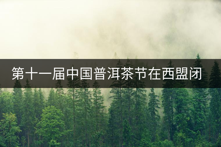 第十一屆中國(guó)普洱茶節(jié)在西盟閉幕