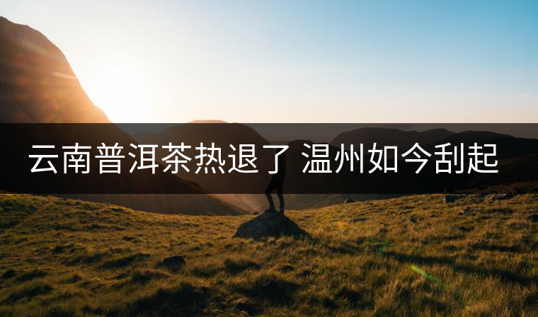 云南普洱茶熱退了 溫州如今刮起了“黑茶風(fēng)” 云南普洱茶熱退了 溫州如今刮起了“黑茶風(fēng)”