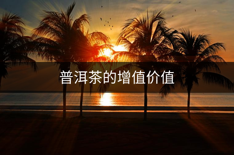 普洱茶的增值價(jià)值