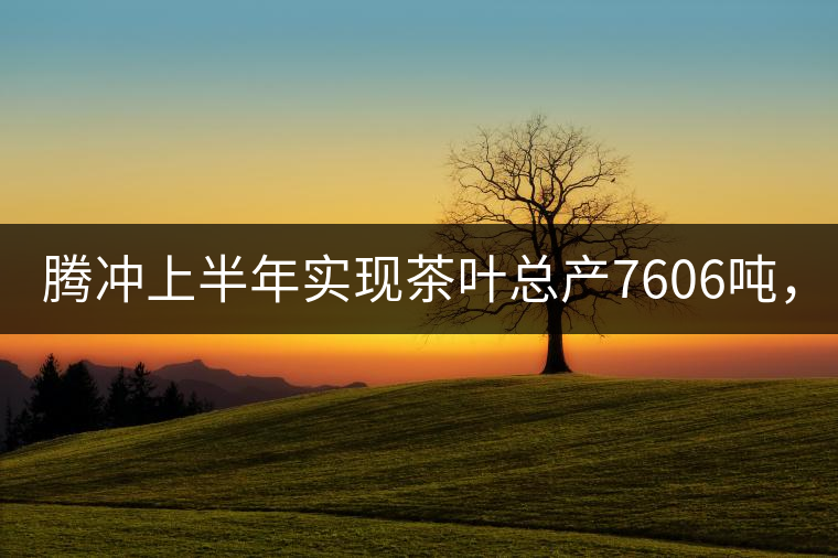 騰沖上半年實(shí)現(xiàn)茶葉總產(chǎn)7606噸，總產(chǎn)值5.58億元
