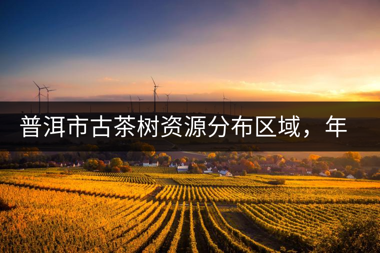 普洱市古茶樹資源分布區(qū)域，年產(chǎn)量多少?