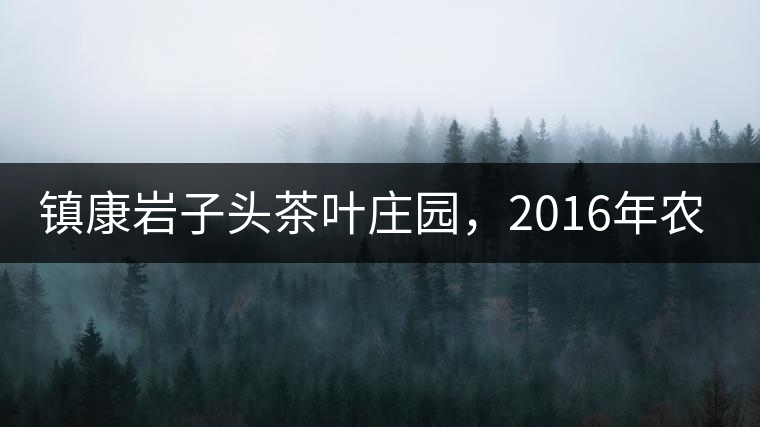 鎮(zhèn)康巖子頭茶葉莊園，2016年農(nóng)業(yè)產(chǎn)值達6000余萬元