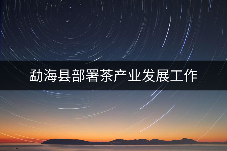 勐?？h部署茶產(chǎn)業(yè)發(fā)展工作