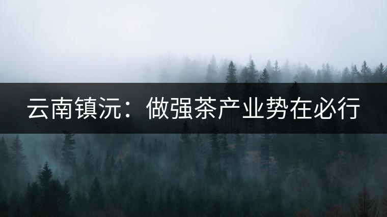 云南鎮(zhèn)沅：做強(qiáng)茶產(chǎn)業(yè)勢在必行