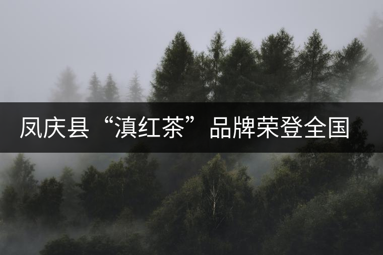 鳳慶縣“滇紅茶”品牌榮登全國區(qū)域品牌價(jià)值百強(qiáng)榜 鳳慶縣“滇紅茶”品牌榮登全國區(qū)域品牌價(jià)值百強(qiáng)榜