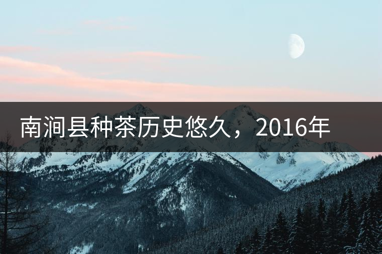 南澗縣種茶歷史悠久，2016年被評為全國十大生態(tài)產(chǎn)茶縣