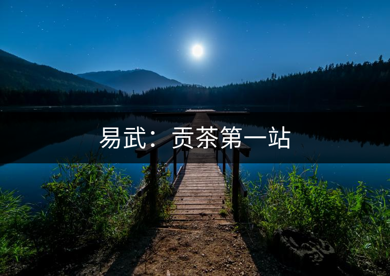 易武:貢茶第一站 易武:貢茶第一站