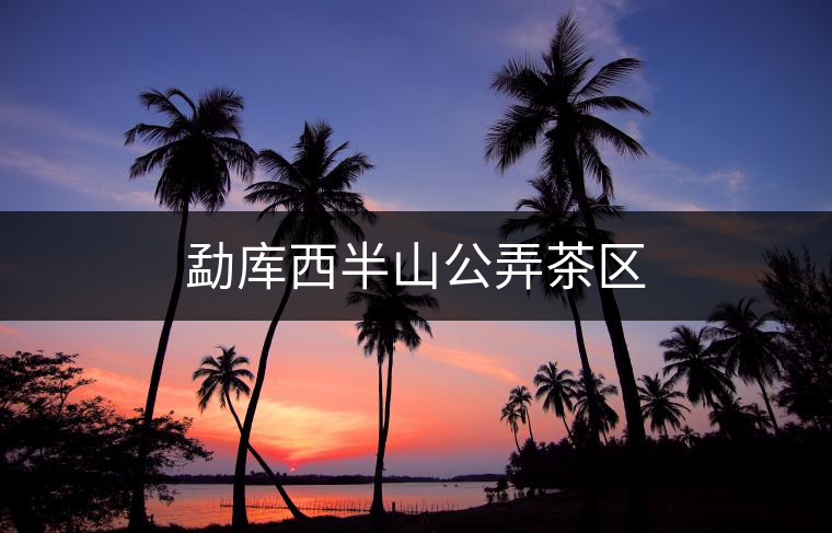 勐庫西半山公弄茶區(qū)