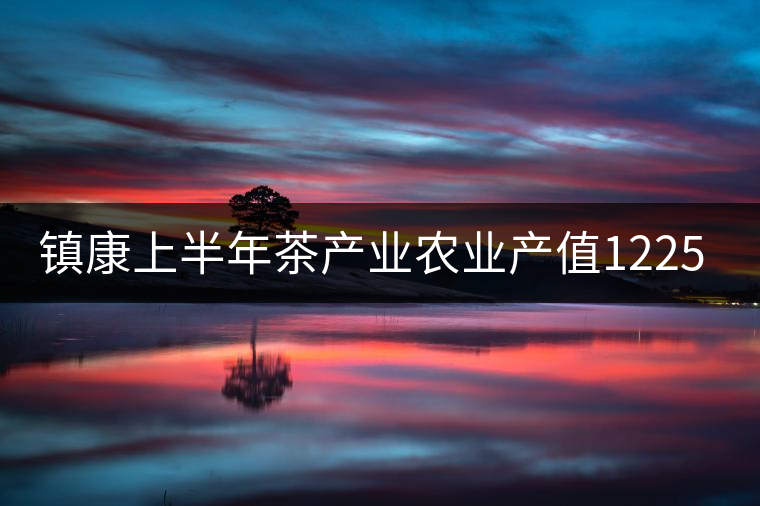 鎮(zhèn)康上半年茶產(chǎn)業(yè)農(nóng)業(yè)產(chǎn)值12250萬(wàn)元，茶葉綜合產(chǎn)值達(dá)19062萬(wàn)元