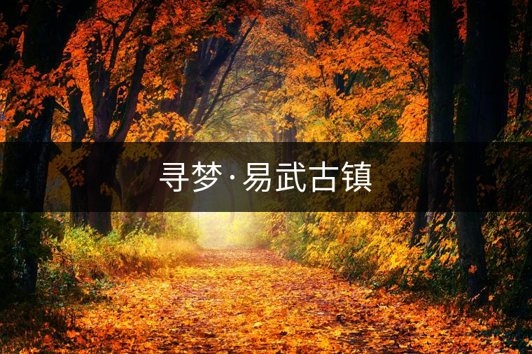 尋夢·易武古鎮(zhèn)