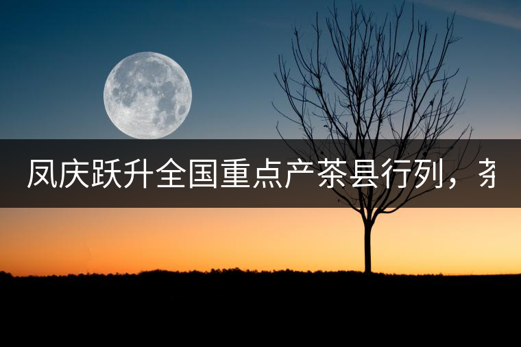 鳳慶躍升全國(guó)重點(diǎn)產(chǎn)茶縣行列，茶葉面積達(dá)30萬(wàn)畝