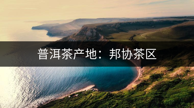 普洱茶產(chǎn)地:邦協(xié)茶區(qū) 普洱茶產(chǎn)地:邦協(xié)茶區(qū)