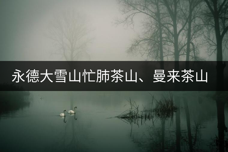 永德大雪山忙肺茶山、曼來茶山、放牛場茶園的生態(tài)指數(shù)