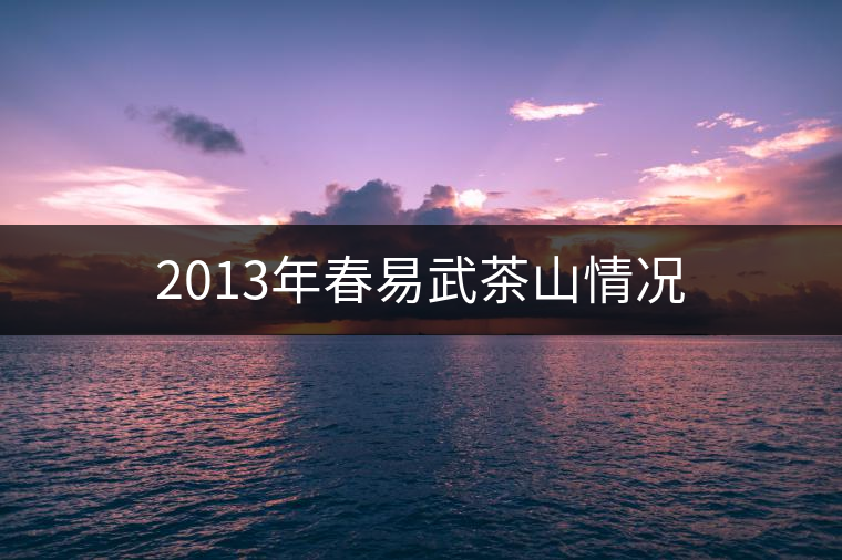 2013年春易武茶山情況 2013年春易武茶山情況