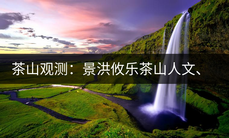 茶山觀測：景洪攸樂茶山人文、生態(tài)指數(shù)
