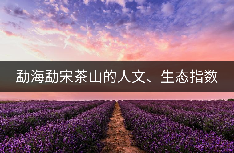 勐海勐宋茶山的人文、生態(tài)指數(shù)