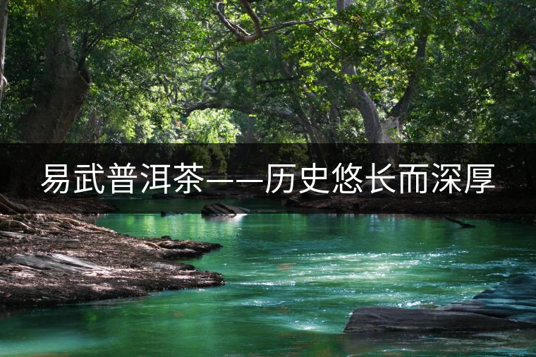 易武普洱茶——?dú)v史悠長(zhǎng)而深厚 易武普洱茶——?dú)v史悠長(zhǎng)而深厚