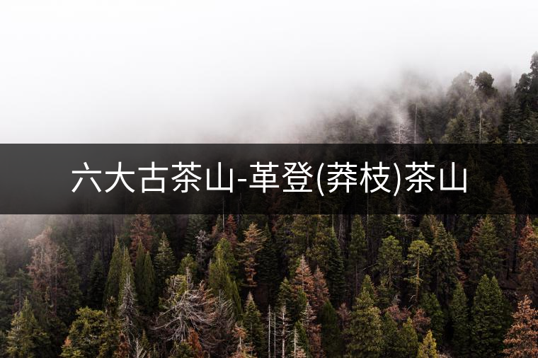 六大古茶山-革登(莽枝)茶山 六大古茶山-革登(莽枝)茶山