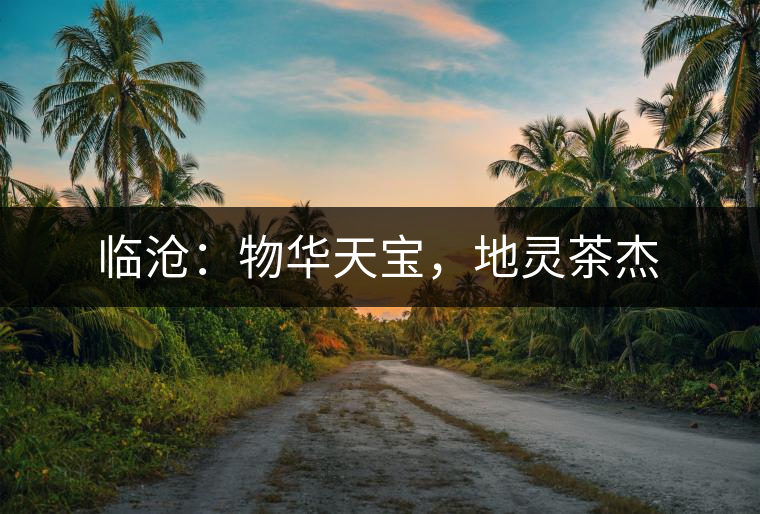 臨滄：物華天寶，地靈茶杰