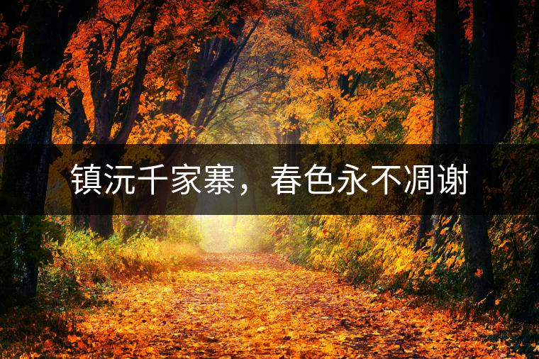 鎮(zhèn)沅千家寨，春色永不凋謝