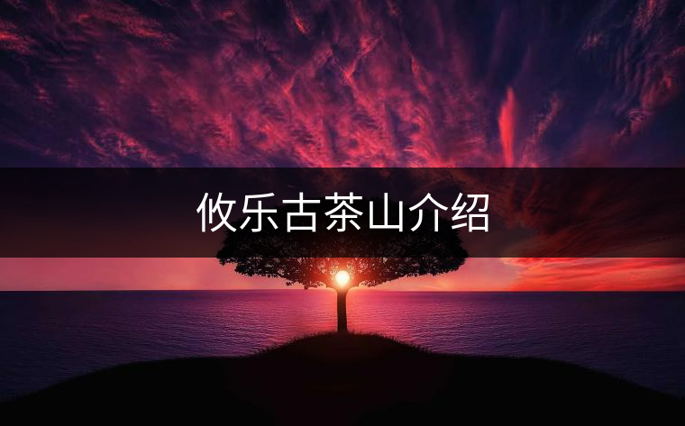 攸樂(lè)古茶山介紹 攸樂(lè)古茶山介紹