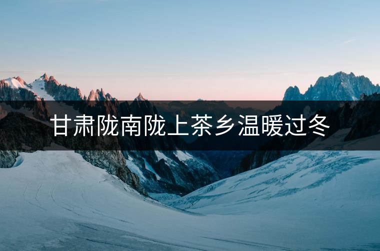 甘肅隴南隴上茶鄉(xiāng)溫暖過冬