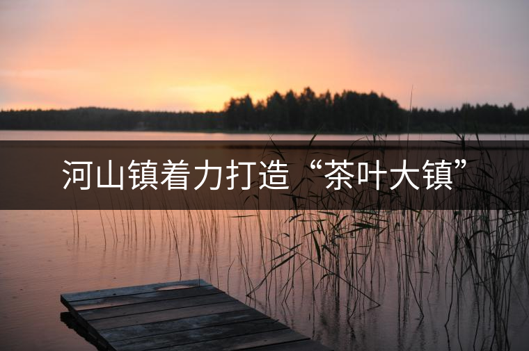 河山鎮(zhèn)著力打造“茶葉大鎮(zhèn)” 河山鎮(zhèn)著力打造“茶葉大鎮(zhèn)”