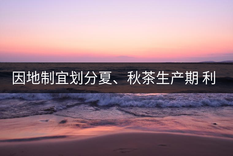 因地制宜劃分夏、秋茶生產(chǎn)期 利于采摘品質(zhì)