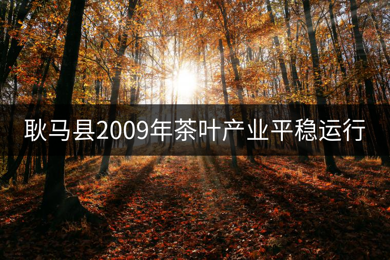 耿馬縣2009年茶葉產(chǎn)業(yè)平穩(wěn)運行