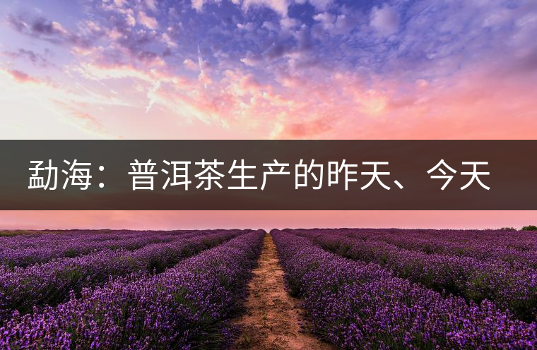 勐海：普洱茶生產(chǎn)的昨天、今天、明天